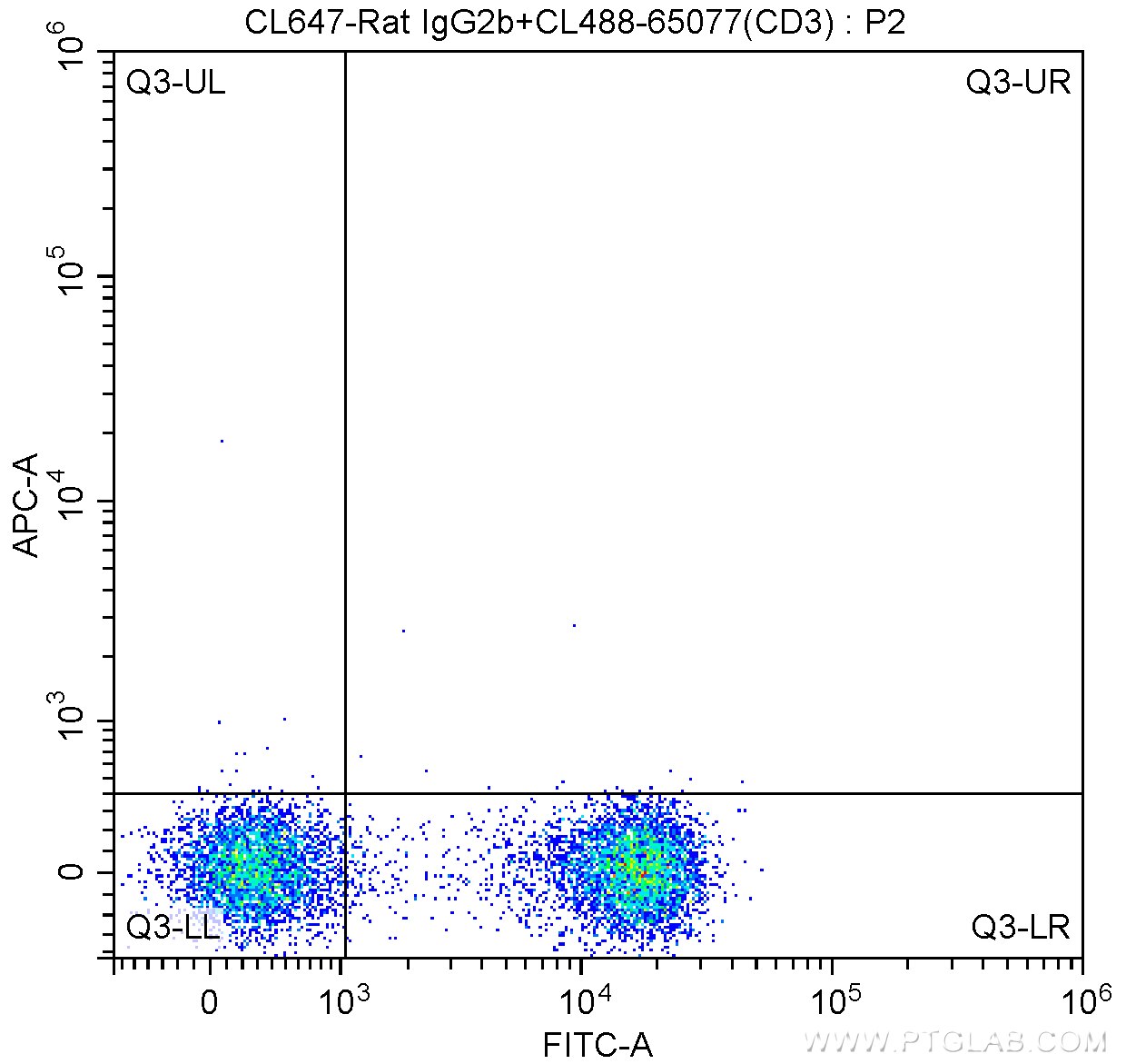 CD44 Antibody CL647 65117 Proteintech