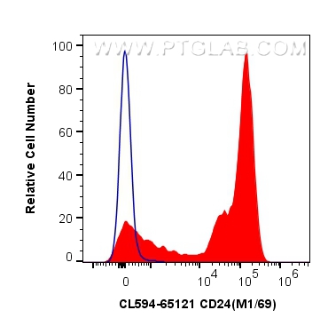 CL594-65121