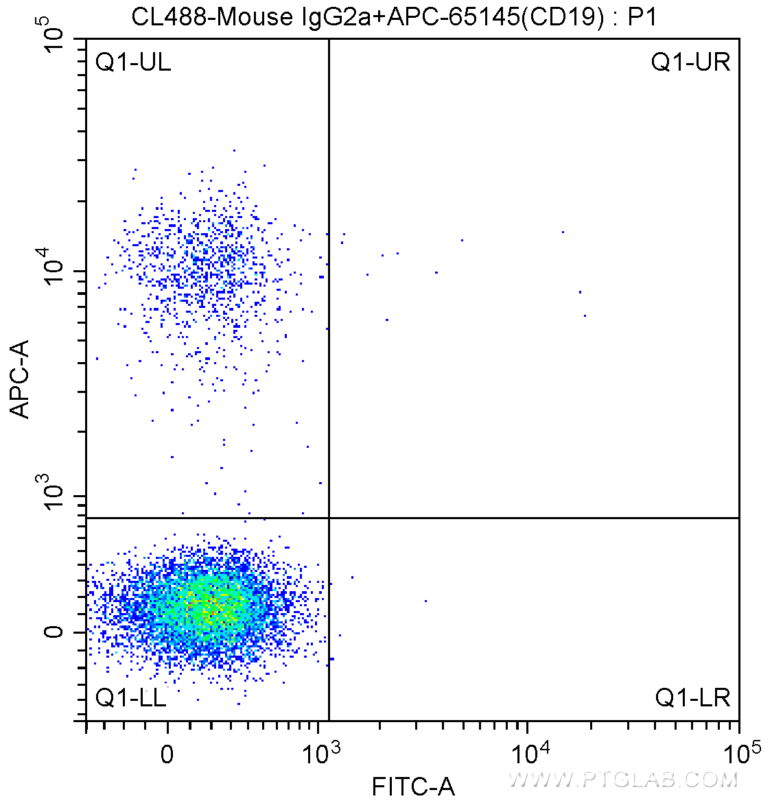 CD3 antibody (CL488-65133) | Proteintech