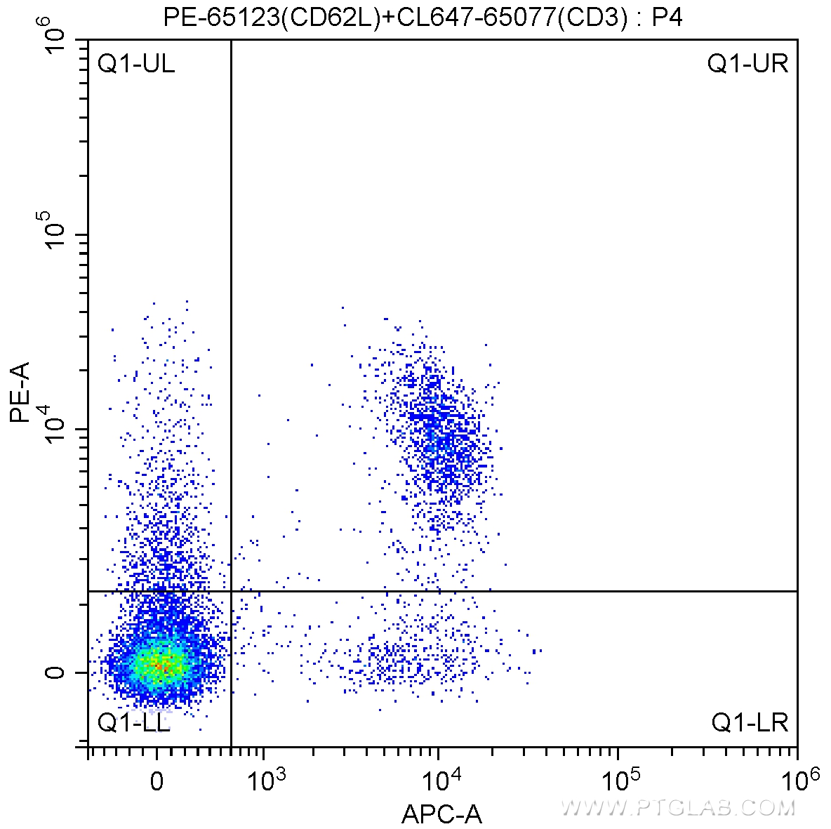 Anti CD62L (L-Selectin)（PGI-PE65123-100UG）（カテゴリ：抗体関連