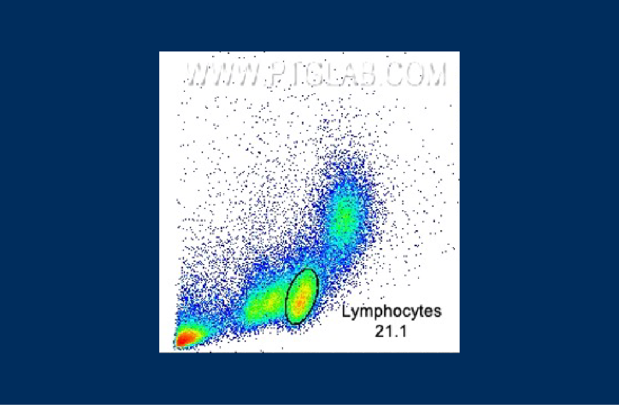 Flow Cytometry Gating for Beginners | Proteintech Group