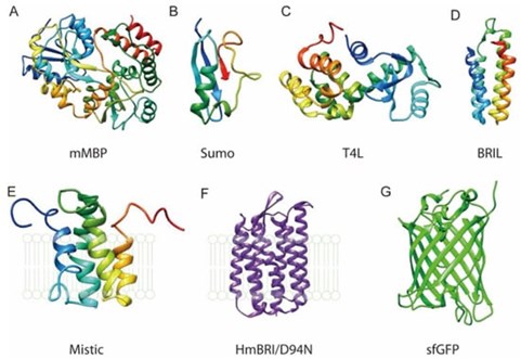 crystal structures of common fusion tags for membrane protein purification