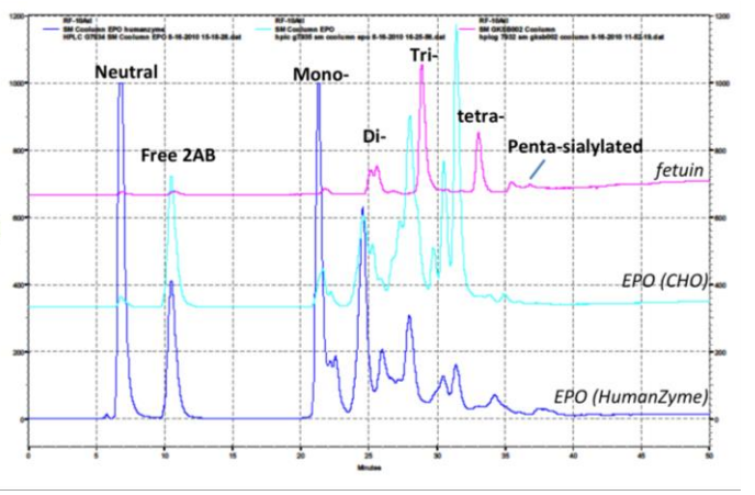 HPLC comparison of glycosylation of human cell expressed and CHO EPO