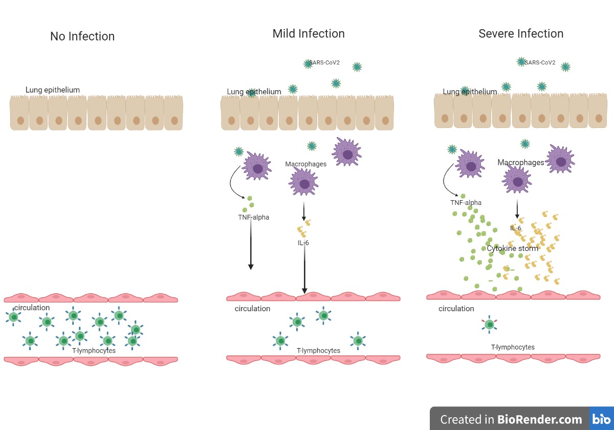 importance of serial dilution research