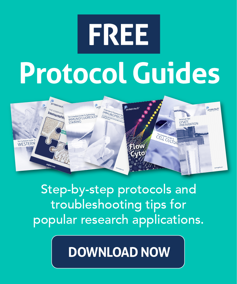 Free protocol guide banner