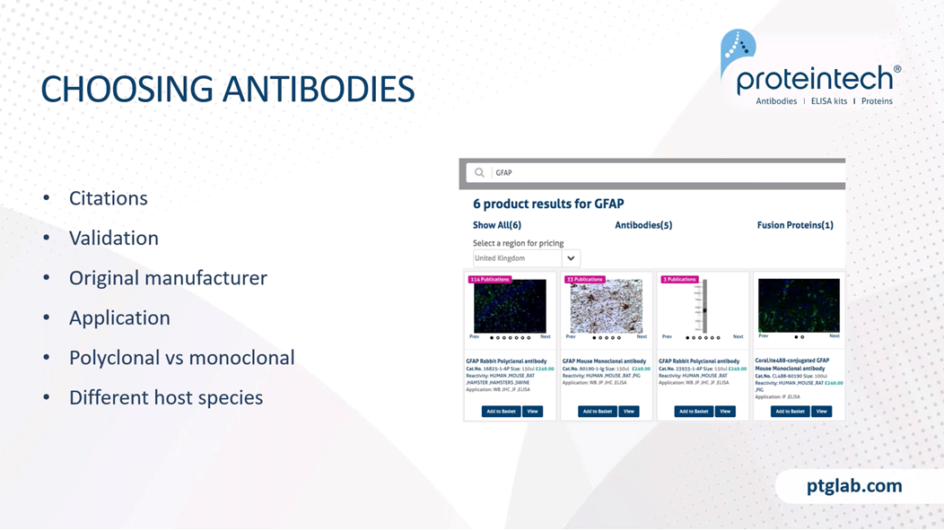 Choosing antibodies for immunohistochemistry