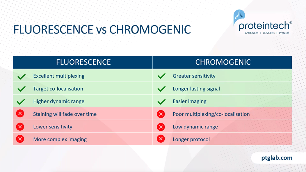 fluorescence vs chromogenic