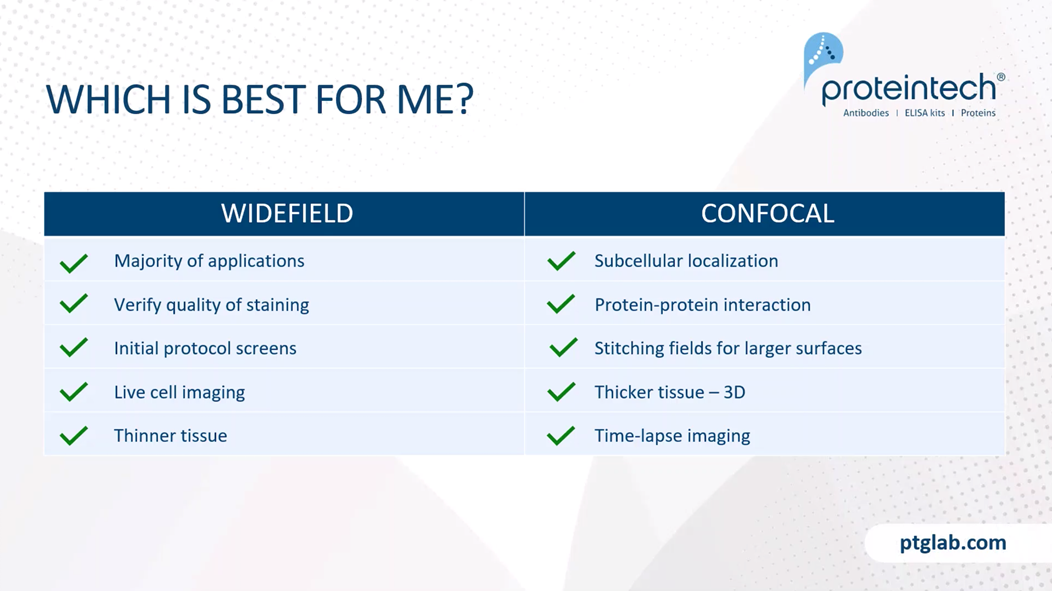 widefield vs confocal for immunofluorescence (IF) experiments