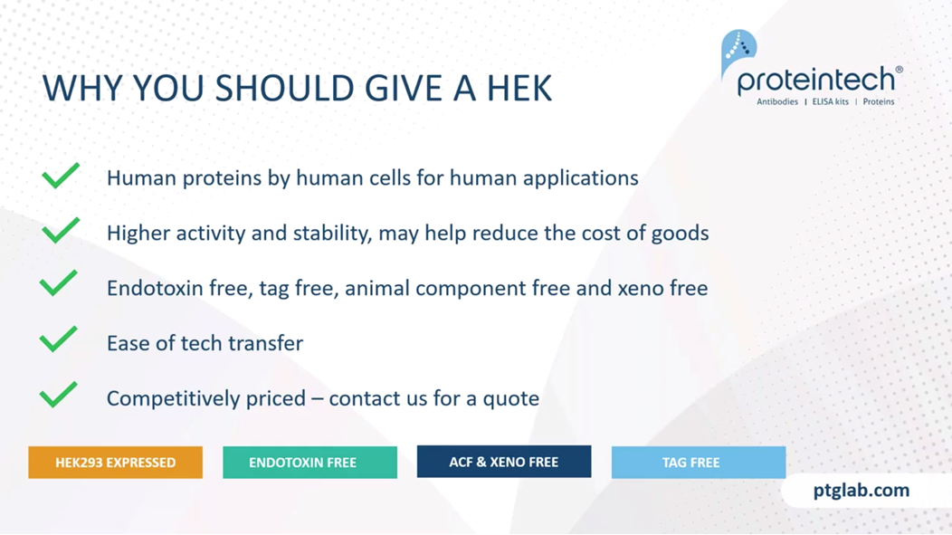 summary on why you should use HEK293