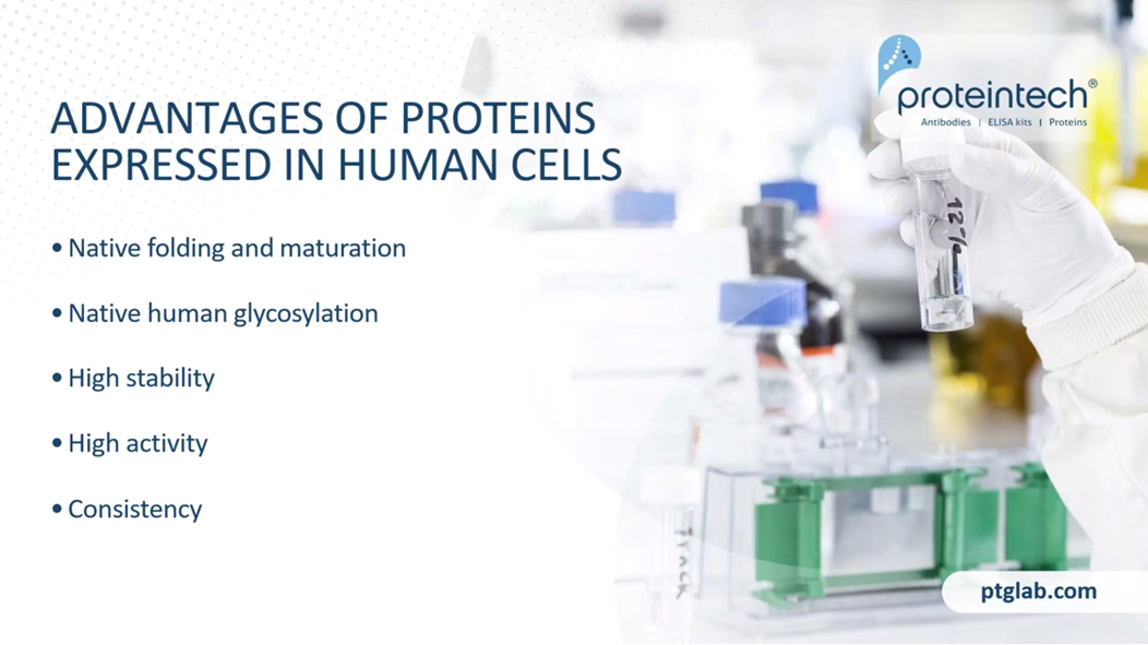 The advantages of proteins expressed in human cells