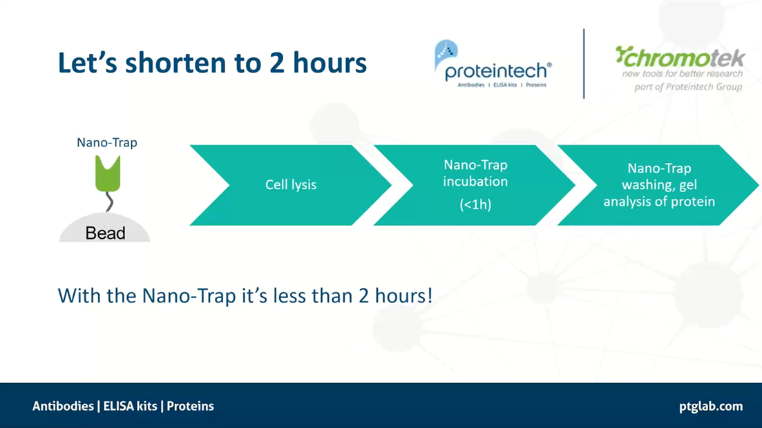 Reduce your IP workflow to less than 2 hours using ChromoTek (now part of Proteintech) Nano Trap nanobodies