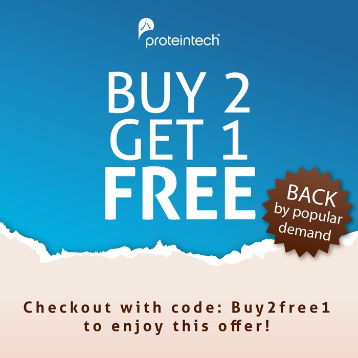 buy 2 get 1 free