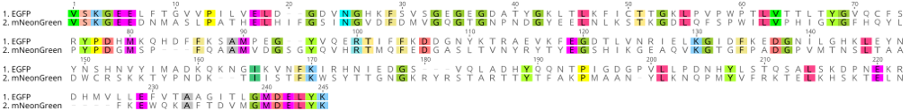 Comparison of EGFP(1) and mNeonGreen(2) amino acid sequences