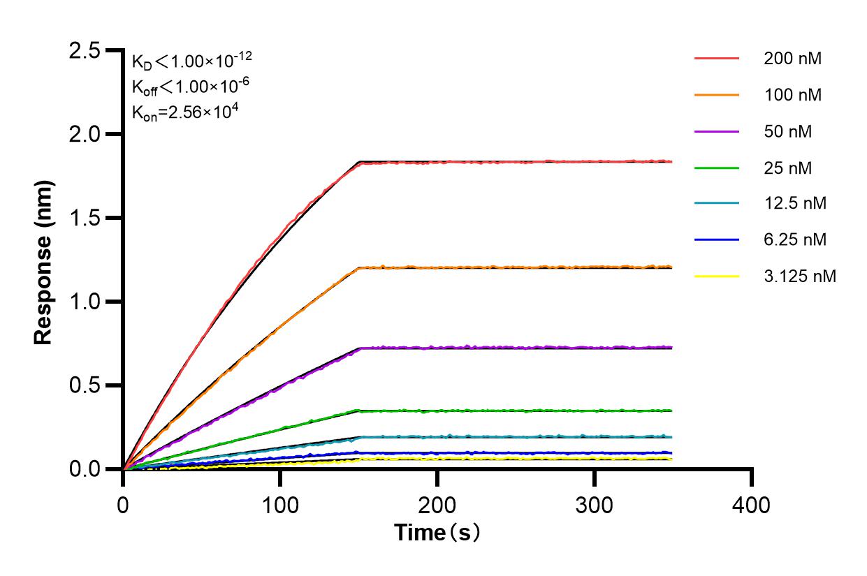 Measurement of Uni-rAb™ antibody affinity for 83188-2-RR