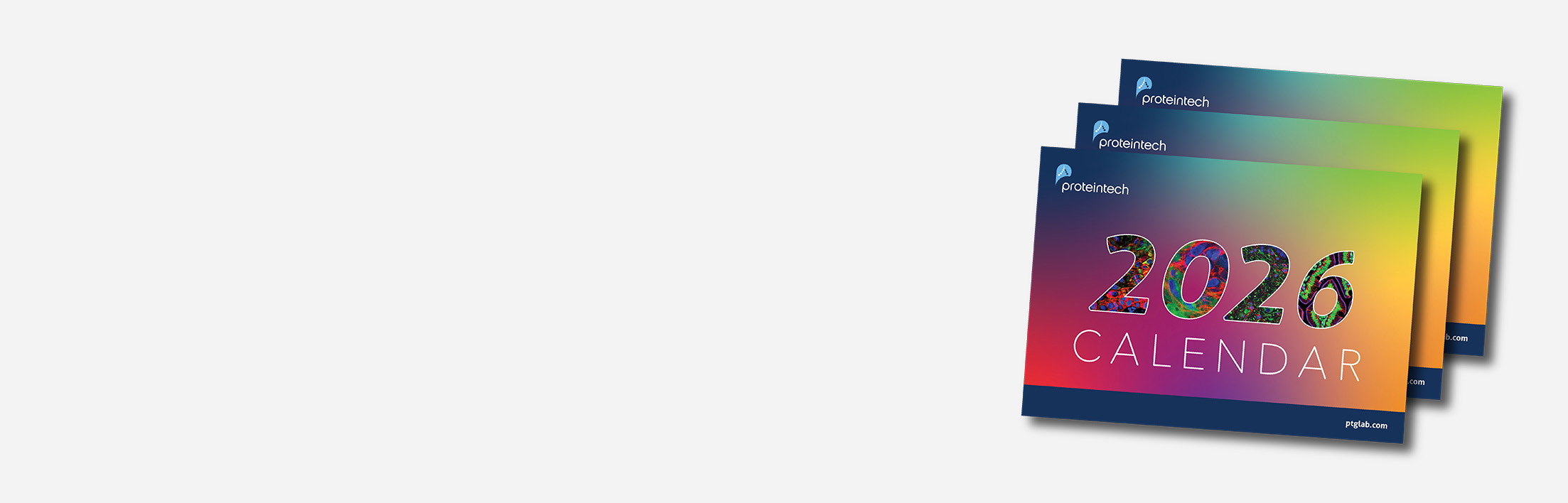 25 10001 2026 Calendar Web Header