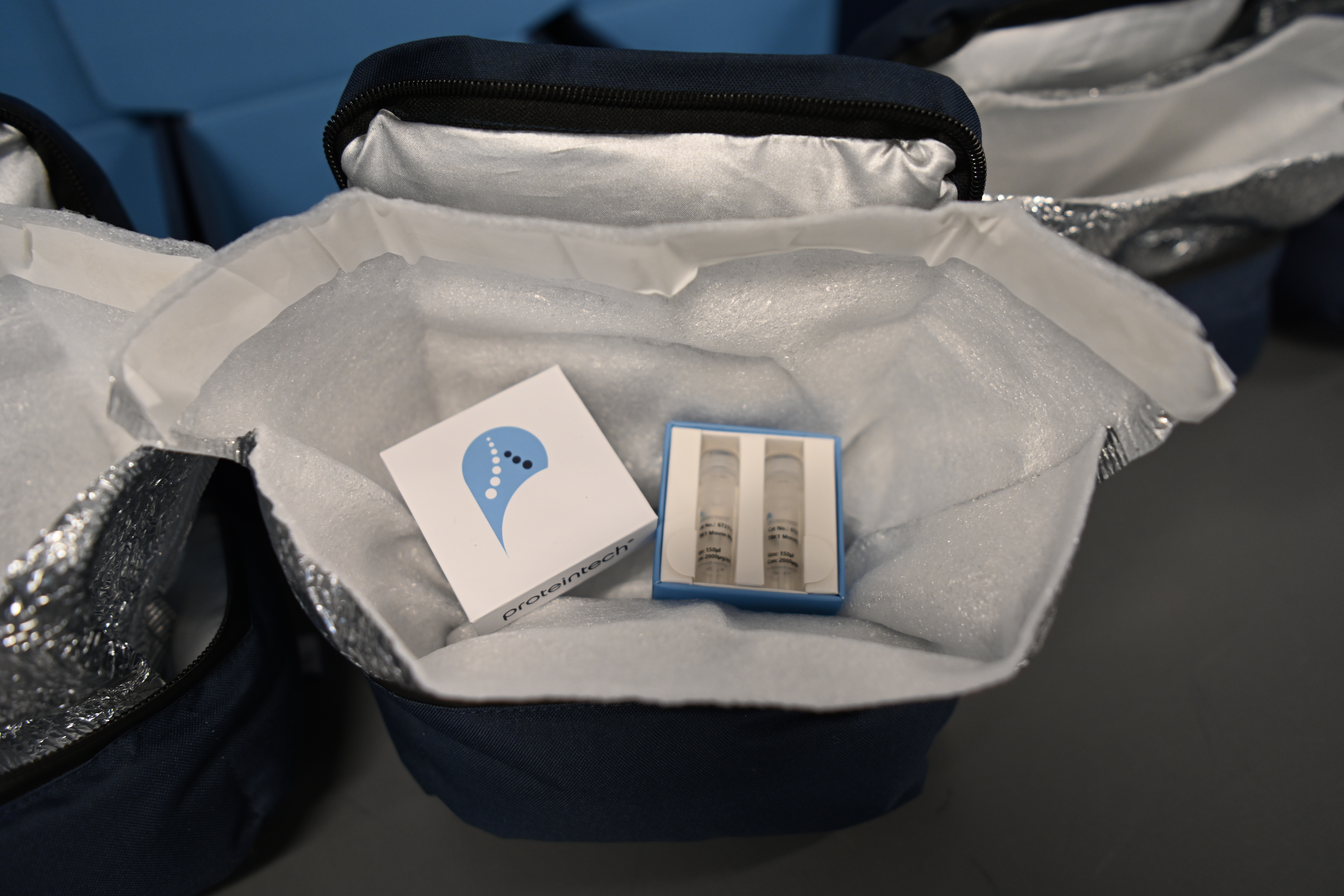 Cotton-based insulated packaging containing Proteintech product box and sample vials.