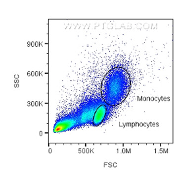 density plot, flow cytometry, FSC, SSC, forward scatter, side scatter, monocytes, lymphocytes, flow cytometry, gating, sorting