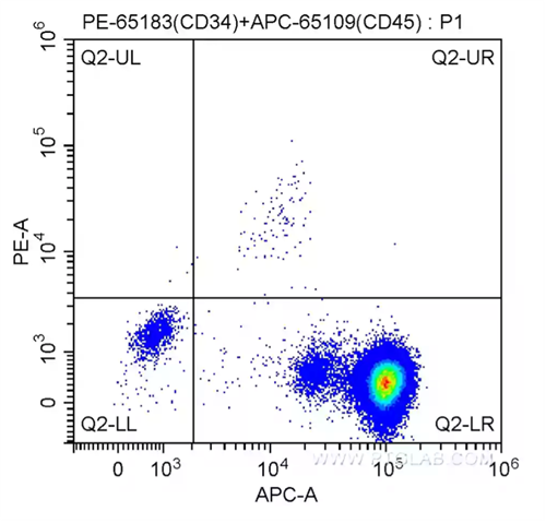CD34 CD45 APC PE flow cytometry