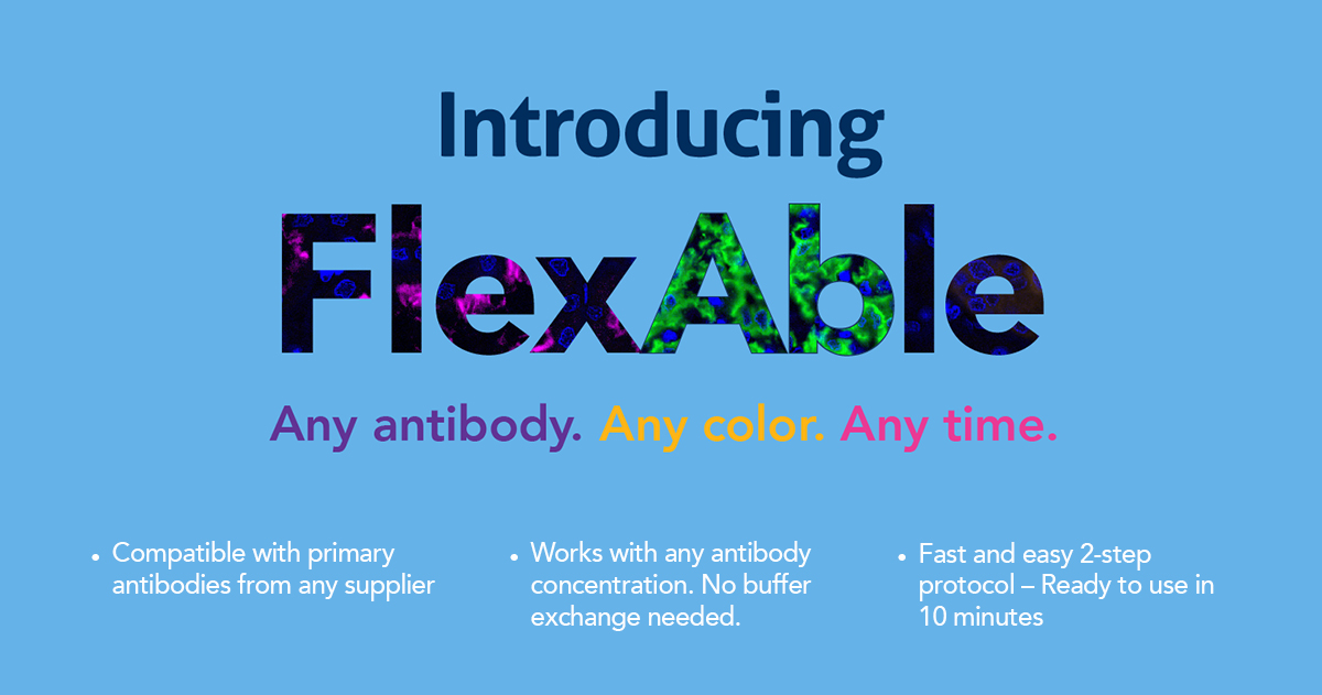 Proteintech FlexAble antibody labeling kits banner
