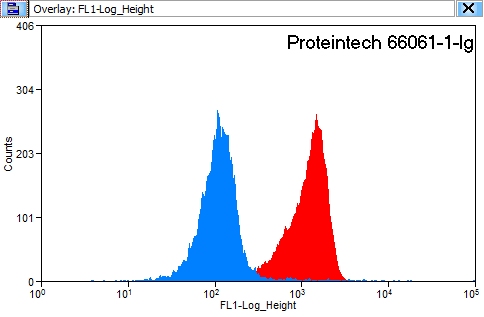 Flow cytometry (FC) experiment of HeLa cells using 14-3-3 Monoclonal antibody (66061-1-Ig)