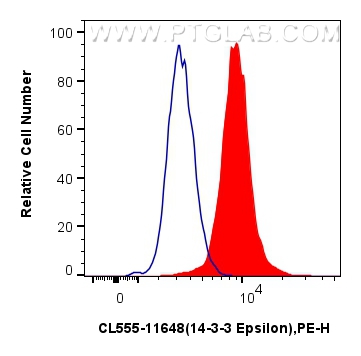 Flow cytometry (FC) experiment of HepG2 cells using CoraLite® Plus 555-conjugated 14-3-3 Epsilon Polyc (CL555-11648)