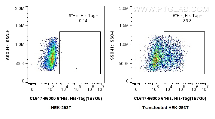 Flow cytometry (FC) experiment of Transfected HEK-293 cells using CoraLite® Plus 647-conjugated 6*His, His-Tag Monoc (CL647-66005)