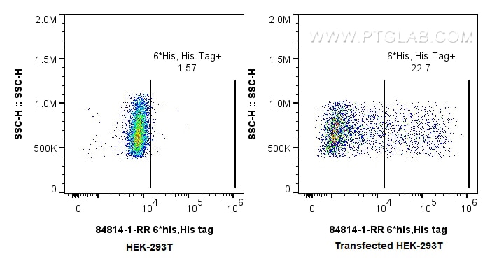 Flow cytometry (FC) experiment of Transfected HEK-293T cells using 6*His, His-Tag Recombinant monoclonal antibody (84814-1-RR)