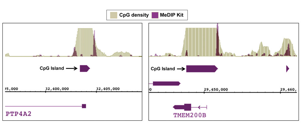 Next-Gen sequencing data generated using Active Motif’s MeDIP kit detects methylation at CpG shores