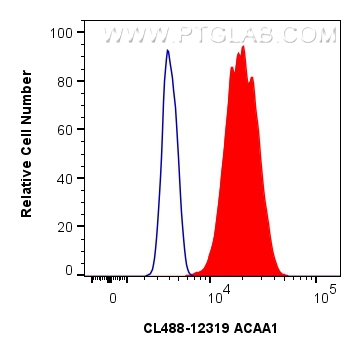 Flow cytometry (FC) experiment of U-251 cells using CoraLite® Plus 488-conjugated ACAA1 Polyclonal ant (CL488-12319)