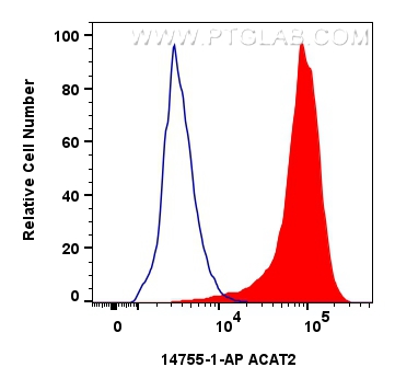 Flow cytometry (FC) experiment of HepG2 cells using ACAT2 Polyclonal antibody (14755-1-AP)