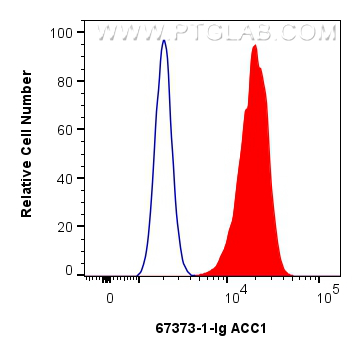 Flow cytometry (FC) experiment of HeLa cells using ACC1 Monoclonal antibody (67373-1-Ig)