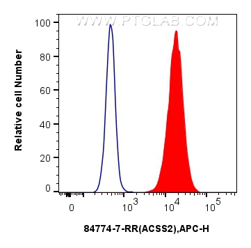 Flow cytometry (FC) experiment of HepG2 cells using ACSS2 Recombinant antibody (84774-7-RR)