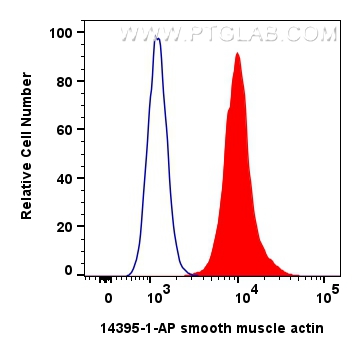 Flow cytometry (FC) experiment of C2C12 cells using smooth muscle actin Polyclonal antibody (14395-1-AP)