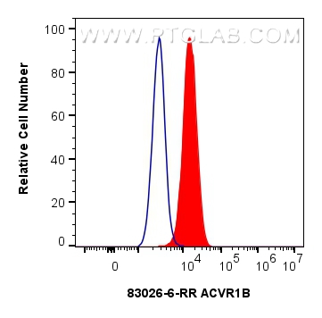 Flow cytometry (FC) experiment of A549 cells using ACVR1B Recombinant antibody (83026-6-RR)