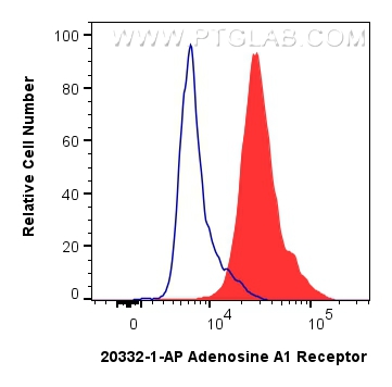 Flow cytometry (FC) experiment of SH-SY5Y cells using Adenosine A1 Receptor Polyclonal antibody (20332-1-AP)