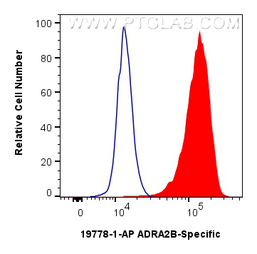 Flow cytometry (FC) experiment of HEK-293 cells using ADRA2B-Specific Polyclonal antibody (19778-1-AP)