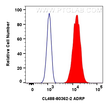 Flow cytometry (FC) experiment of HepG2 cells using CoraLite® Plus 488-conjugated ADRP Recombinant ant (CL488-80362-2)