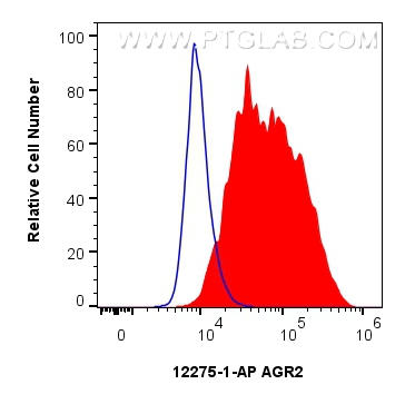 Flow cytometry (FC) experiment of A549 cells using AGR2 Polyclonal antibody (12275-1-AP)