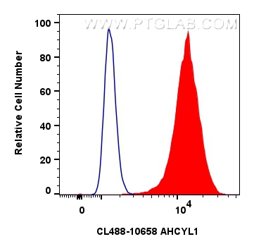 Flow cytometry (FC) experiment of HeLa cells using CoraLite® Plus 488-conjugated AHCYL1 Polyclonal an (CL488-10658)