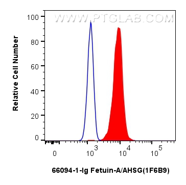 Flow cytometry (FC) experiment of HepG2 cells using Fetuin-A/AHSG Monoclonal antibody (66094-1-Ig)