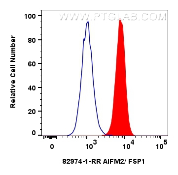 Flow cytometry (FC) experiment of A549 cells using AIFM2/ FSP1 Recombinant antibody (82974-1-RR)