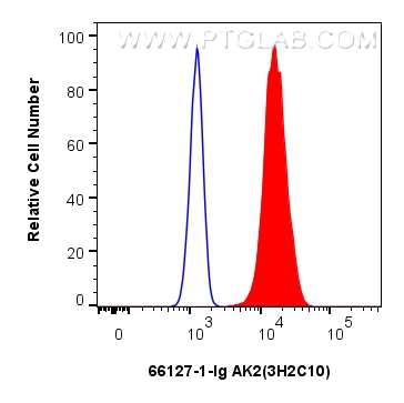 Flow cytometry (FC) experiment of HepG2 cells using AK2 Monoclonal antibody (66127-1-Ig)