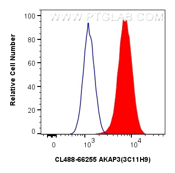 Flow cytometry (FC) experiment of Jurkat cells using CoraLite® Plus 488-conjugated AKAP3 Monoclonal ant (CL488-66255)