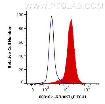 Flow cytometry (FC) experiment of Jurkat cells using AKT1-Specific Recombinant antibody (80816-1-RR)