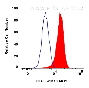 Flow cytometry (FC) experiment of NIH/3T3 cells using CoraLite® Plus 488-conjugated AKT2 Polyclonal anti (CL488-28113)