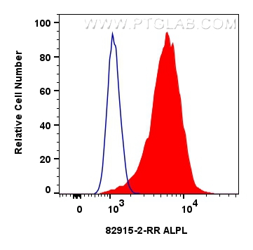 Flow cytometry (FC) experiment of HeLa cells using ALPL Recombinant antibody (82915-2-RR)