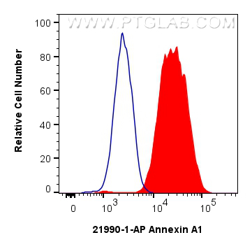 Flow cytometry (FC) experiment of Jurkat cells using Annexin A1 Polyclonal antibody (21990-1-AP)