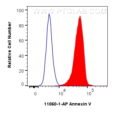 Flow cytometry (FC) experiment of HeLa cells using Annexin V Polyclonal antibody (11060-1-AP)