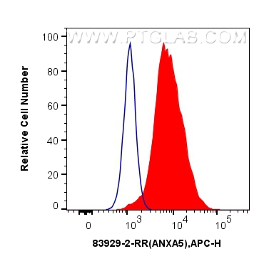 Flow cytometry (FC) experiment of HeLa cells using ANXA5 Recombinant antibody (83929-2-RR)