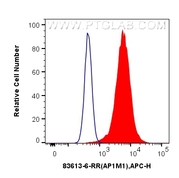 Flow cytometry (FC) experiment of HeLa cells using AP1M1 Recombinant antibody (83613-6-RR)